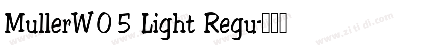 MullerW05 Light Regu字体转换